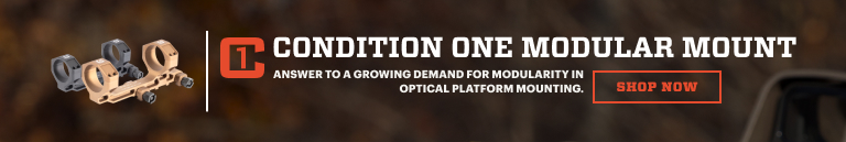Condition One Modular Mount